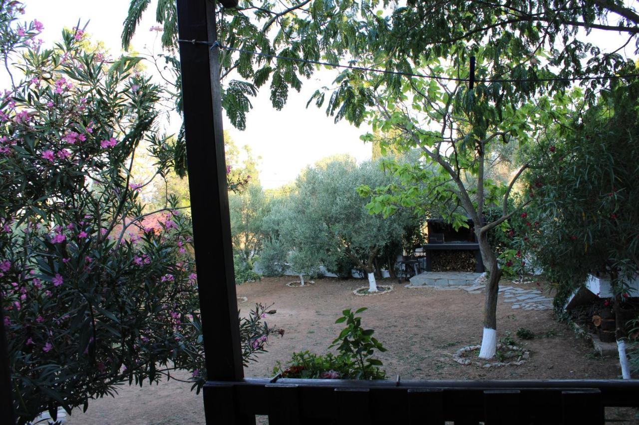Anastasia Nea Nea Makri Extérieur photo