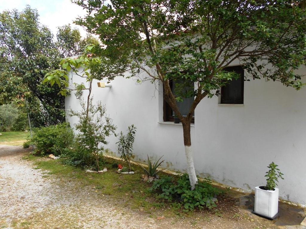 Anastasia Nea Nea Makri Extérieur photo