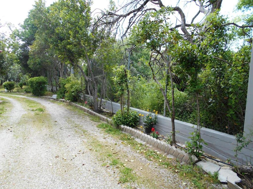 Anastasia Nea Nea Makri Extérieur photo